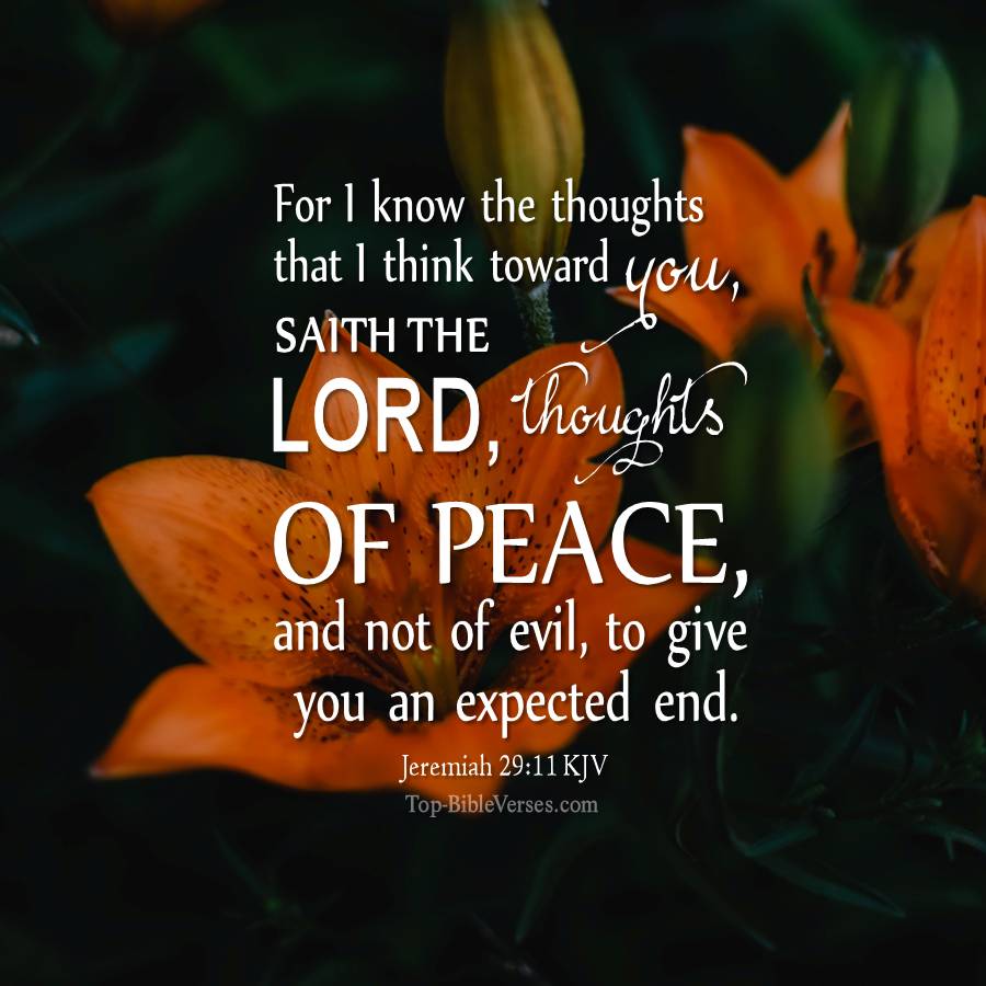 Jeremiah 29-11 KJV WhatsApp DP Inspirational Bible Verse Images.