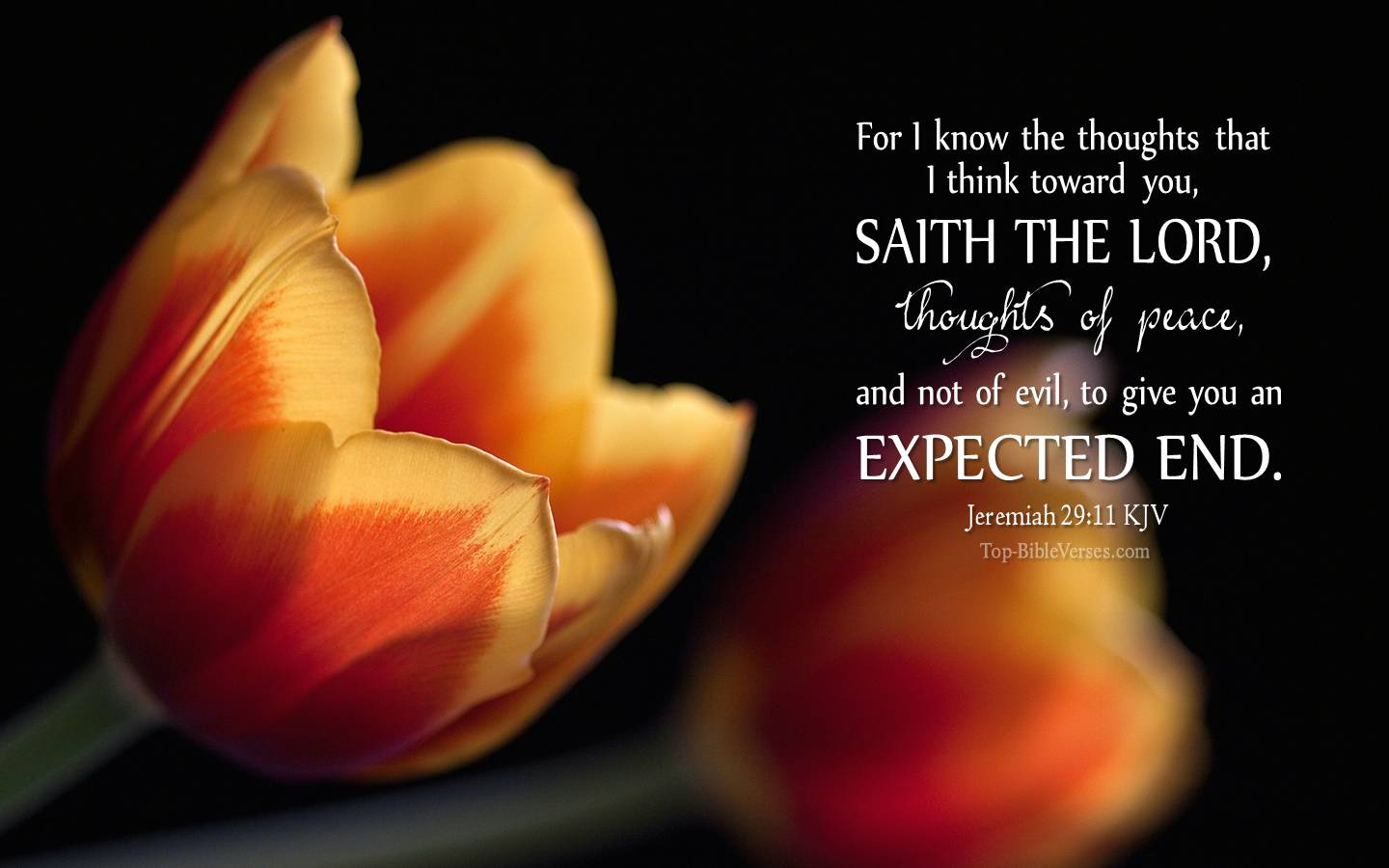 Jeremiah 29:11 KJV Christian Bible Verse Desktop Wallpaper. Top-BibleVerses.com