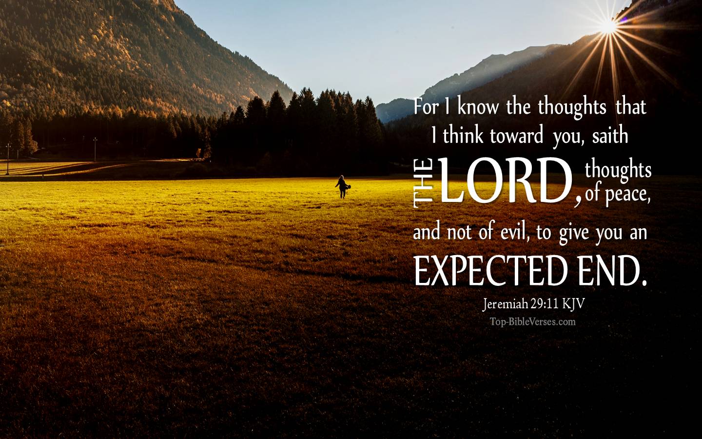 Jeremiah 29:11 - For I know the thoughts that I think toward you, saith the LORD. KJV Christian Bible Verse Desktop Wallpaper.