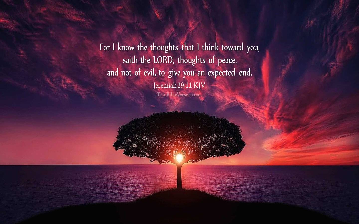 Jeremiah 29:11 - For I know the thoughts that I think toward you, saith the LORD. KJV Christian Bible Verse Desktop Wallpaper.