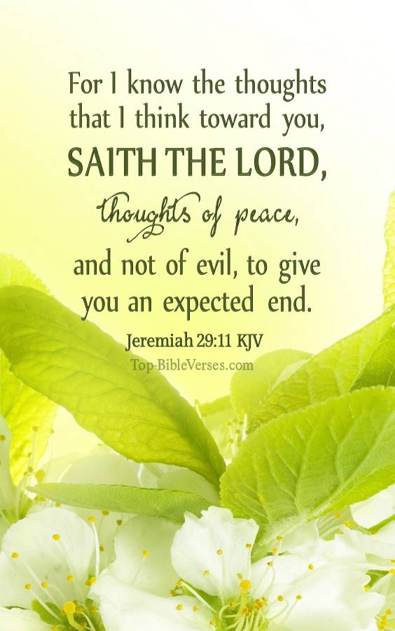 Jeremiah 29:11 KJV Christian Bible Verse Mobile Wallpaper. Top-BibleVerses.com