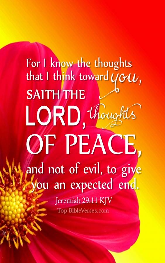 Jeremiah 29:11 - For I know the thoughts that I think toward you, saith the LORD. KJV Christian Bible Verse Mobile Wallpaper.