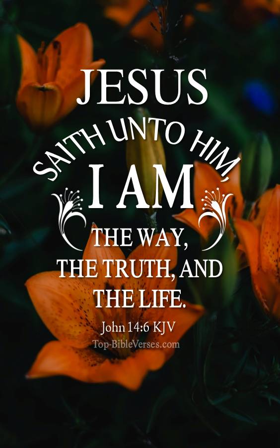 John 14:6 - I am the way, the truth, and the life: no man cometh unto the Father, but by me. KJV Christian Bible Verse Mobile Wallpaper.