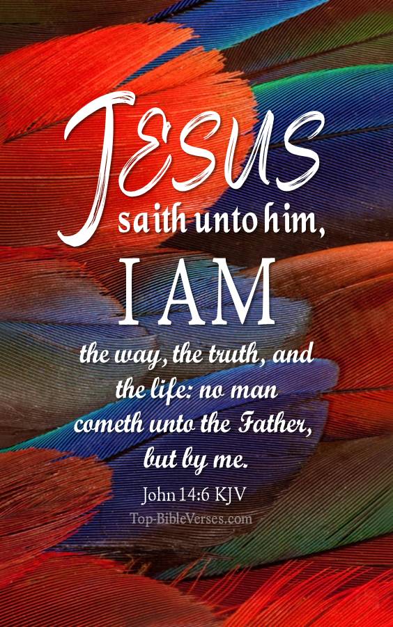 John 14:6 - I am the way, the truth, and the life: no man cometh unto the Father, but by me. KJV Christian Bible Verse Mobile Wallpaper.