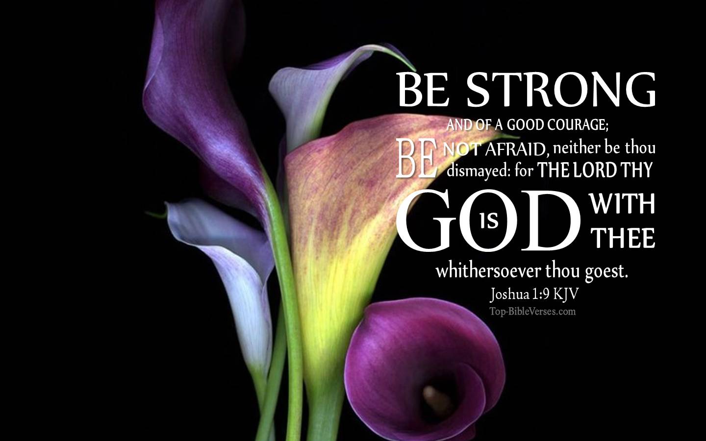 Joshua 1-9 - Be strong and of a good courage; be not afraid, neither be thou dismayed. KJV Christian Bible Verse Desktop Wallpaper.