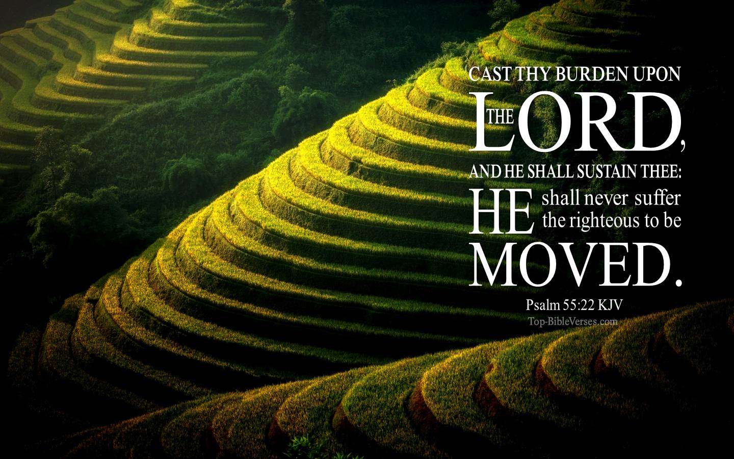 Psalm 55-22 - Cast thy burden upon the LORD, and he shall sustain thee. KJV Christian Bible Verse Desktop Wallpaper.