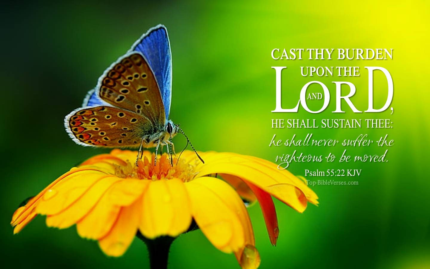 Psalm 55-22 - Cast thy burden upon the LORD, and he shall sustain thee. KJV Christian Bible Verse Desktop Wallpaper.