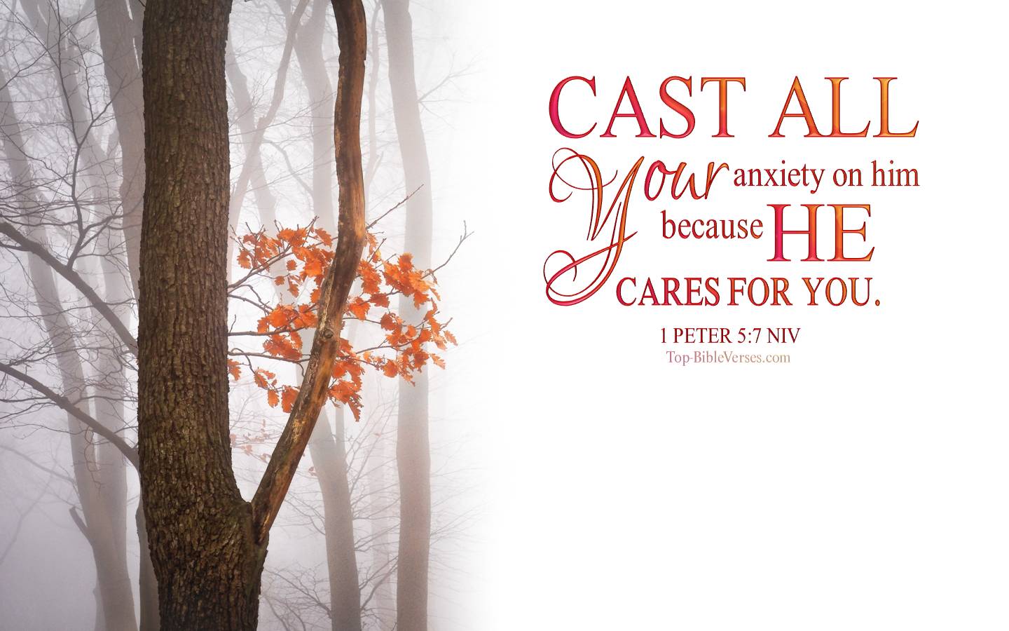 1 Peter 5-7 - Cast all your anxiety on him because he cares for you. NIV Christian Bible Verse Desktop Wallpaper.