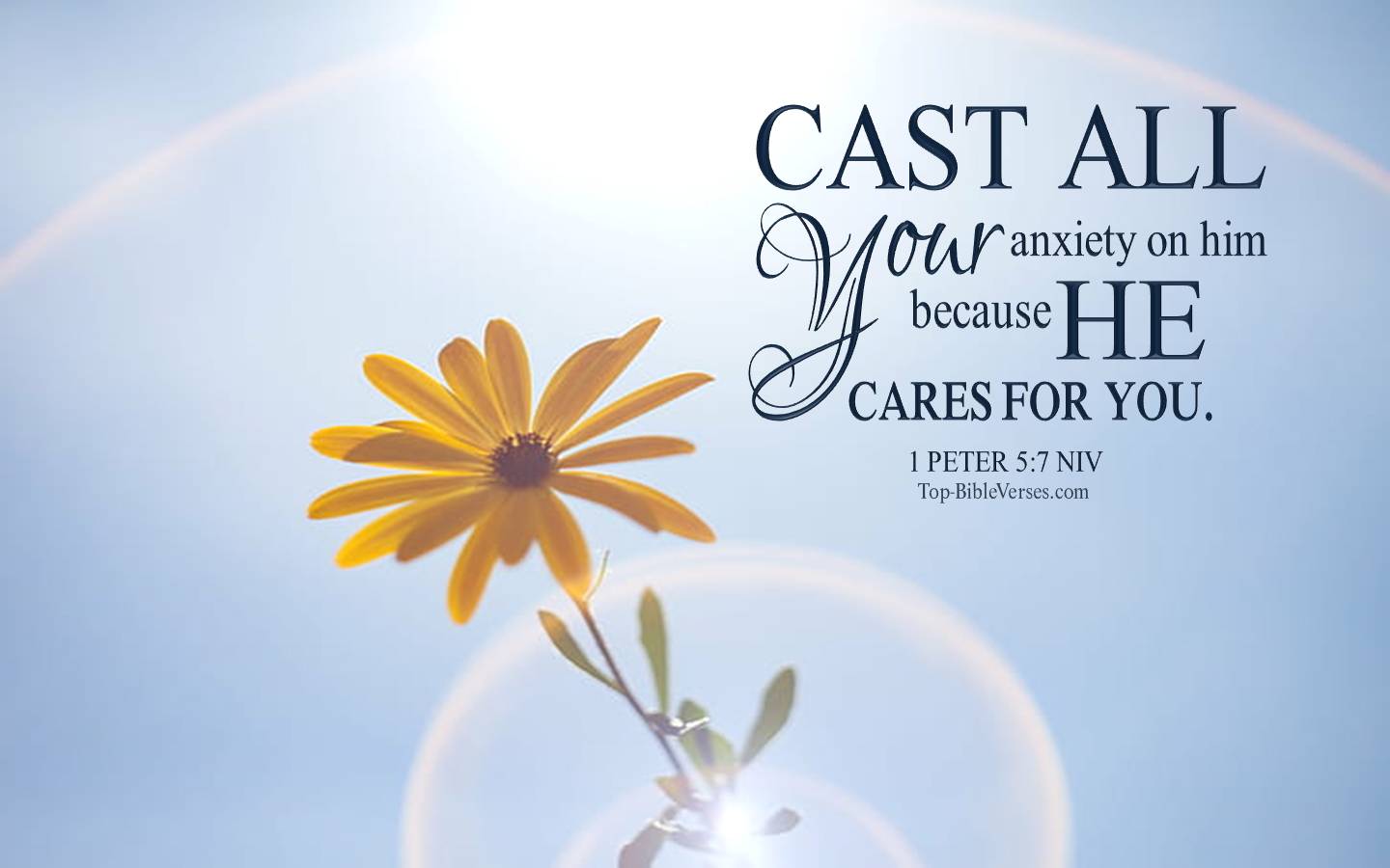 1 Peter 5-7 NIV Christian Bible Verse Desktop Wallpaper. Top-BibleVerses.com