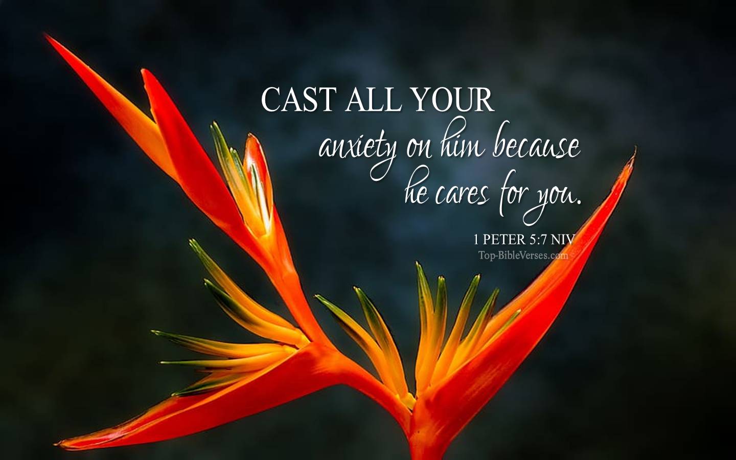 1 Peter 5-7 - Cast all your anxiety on him because he cares for you. NIV Christian Bible Verse Desktop Wallpaper.