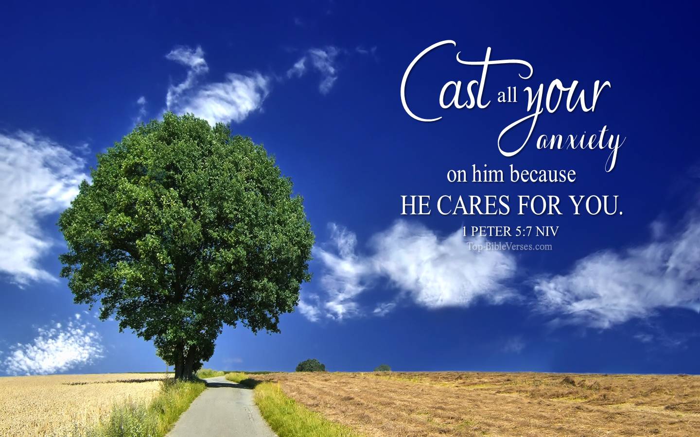 1 Peter 5-7 - Cast all your anxiety on him because he cares for you. NIV Christian Bible Verse Desktop Wallpaper.