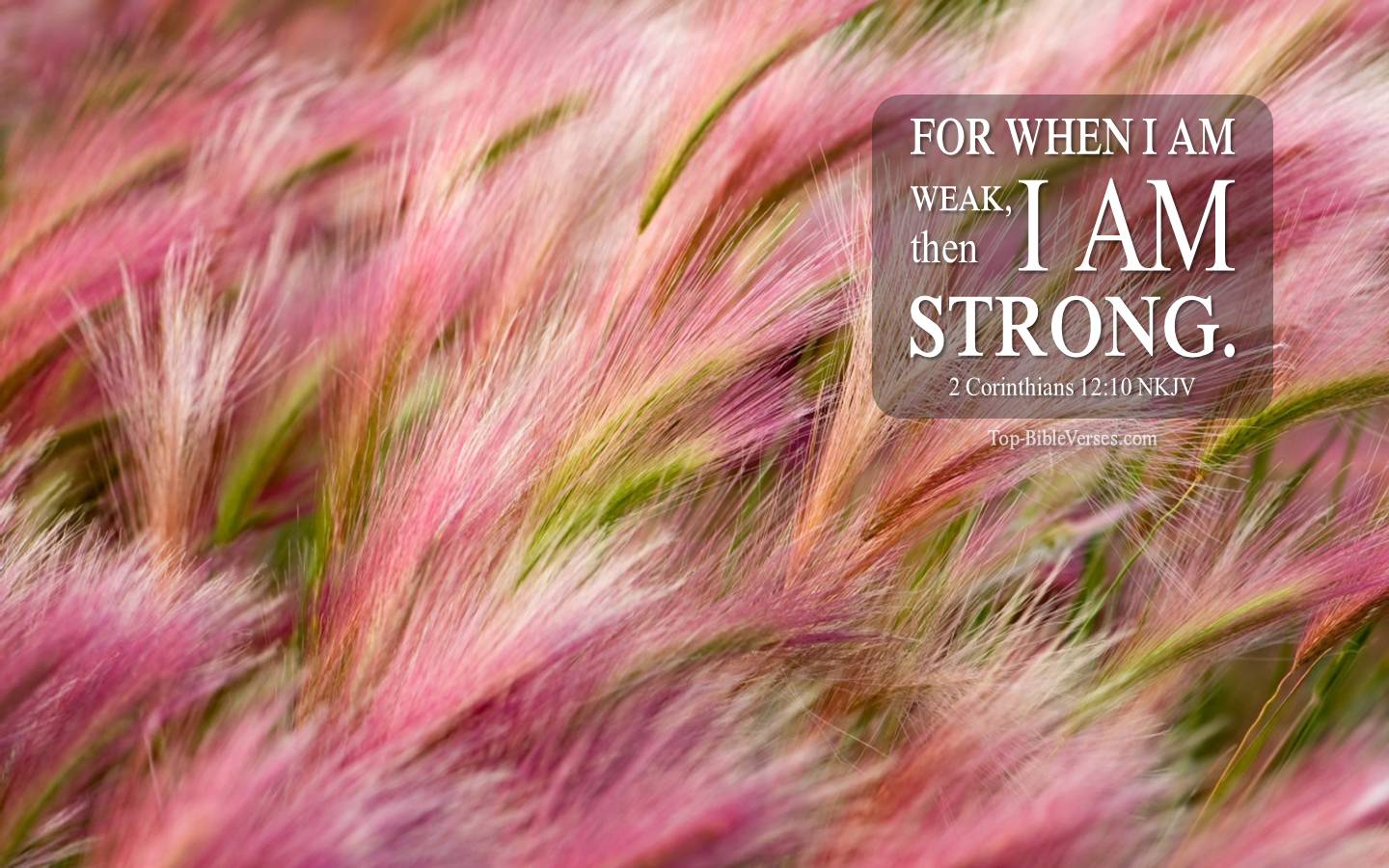 2 Corinthians 12:10 - For when I am weak, then I am strong. NKJV Christian Bible Verse Desktop Wallpaper.