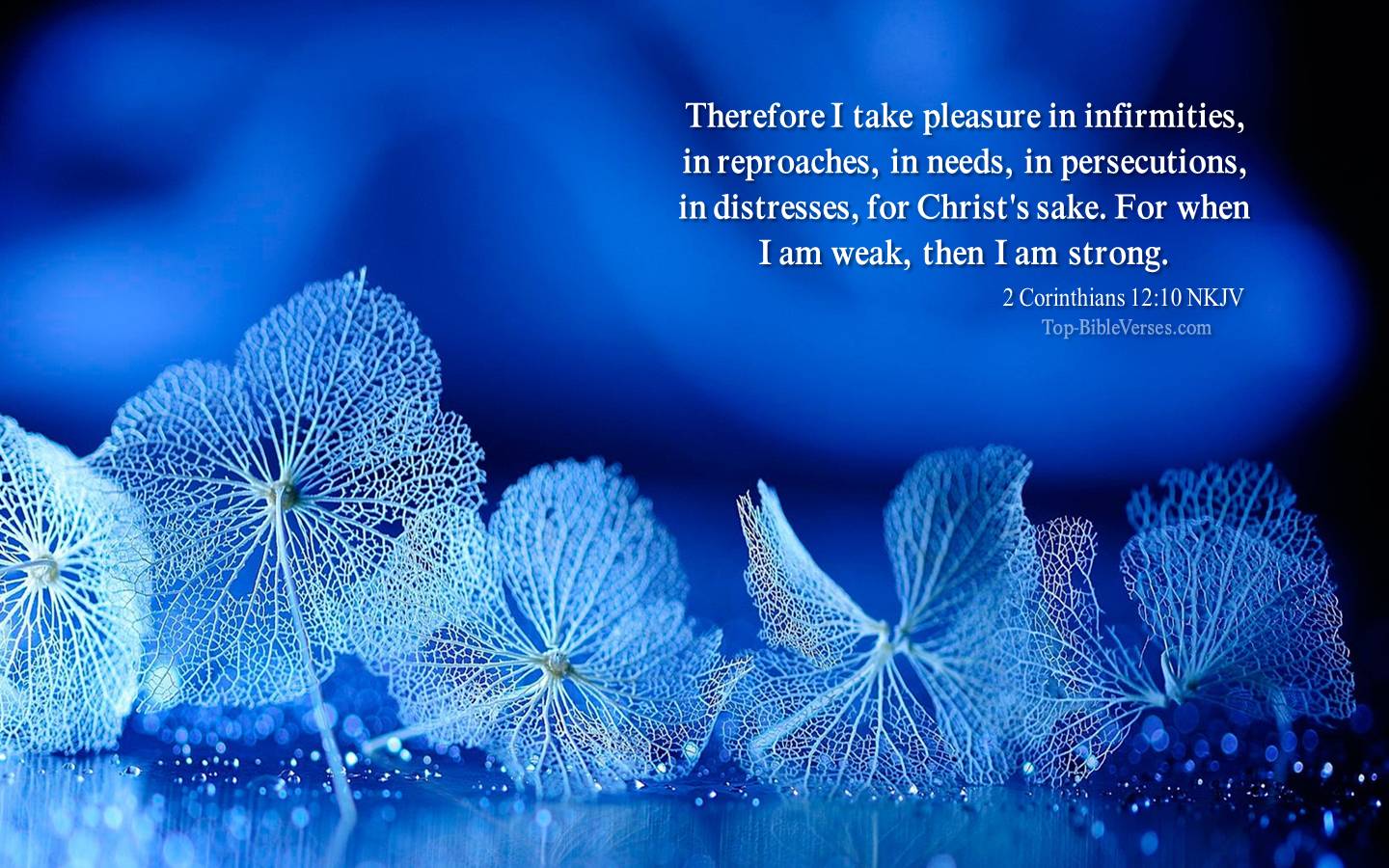 2 Corinthians 12:10 - For when I am weak, then I am strong. NKJV Christian Bible Verse Desktop Wallpaper.