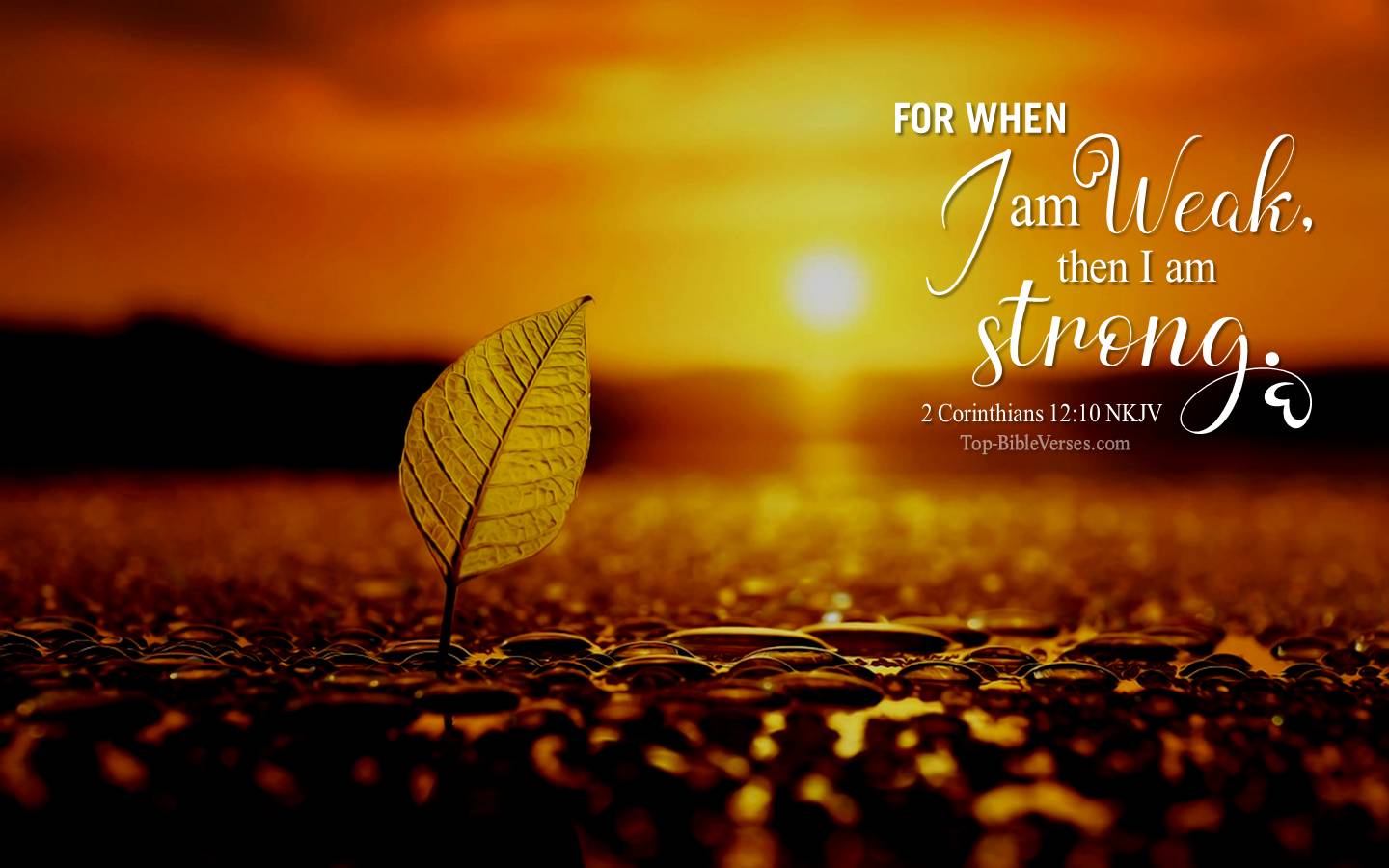 2 Corinthians 12:10 - For when I am weak, then I am strong. NKJV Christian Bible Verse Desktop Wallpaper.