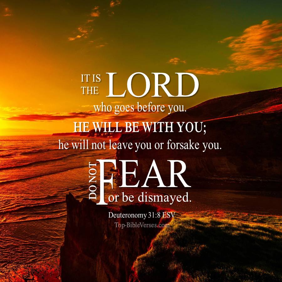 Deuteronomy 31-8 ESV WhatsApp DP Inspirational Bible Verse Images.