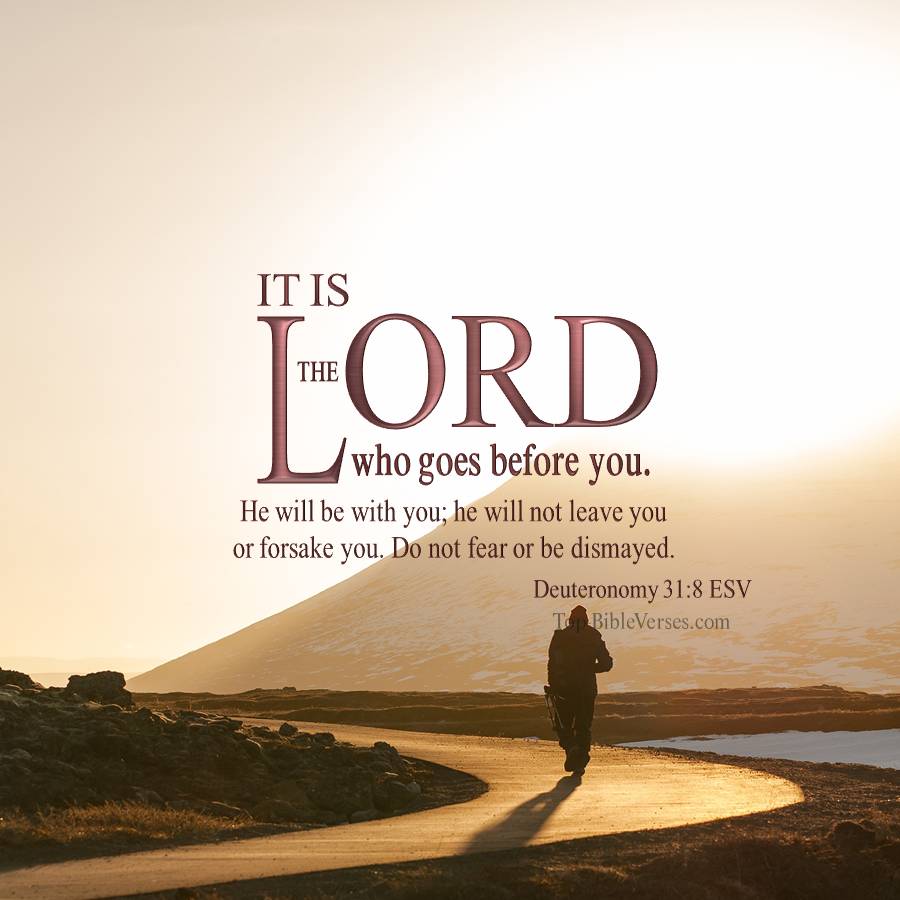 Deuteronomy 31-8 ESV WhatsApp DP Inspirational Bible Verse Images.
