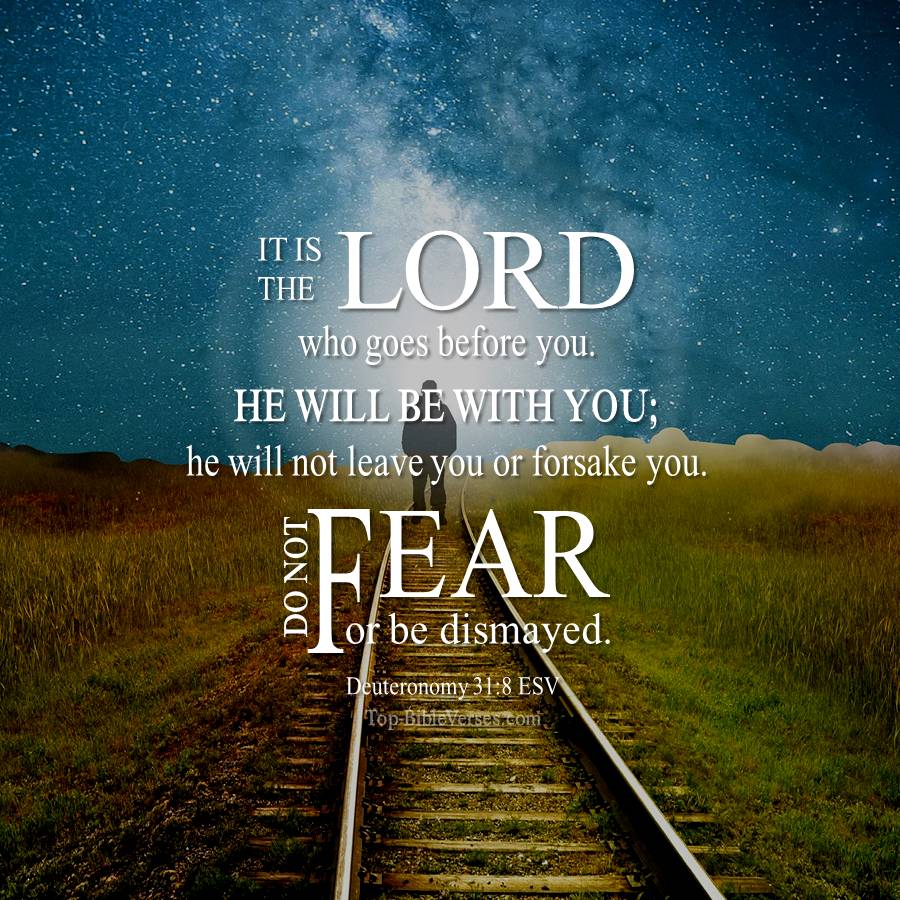 Deuteronomy 31-8 ESV WhatsApp DP Inspirational Bible Verse Images.