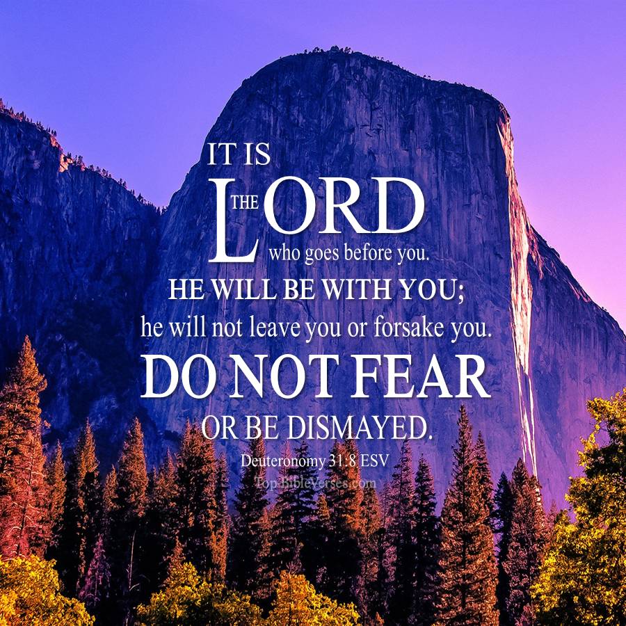 Deuteronomy 31-8 ESV WhatsApp DP Inspirational Bible Verse Images.