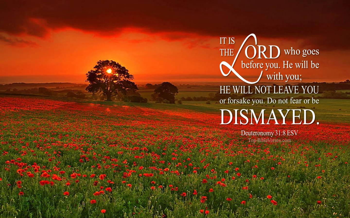 Deuteronomy 31-8 ESV Christian Bible Verse Desktop Wallpaper. Top-BibleVerses.com
