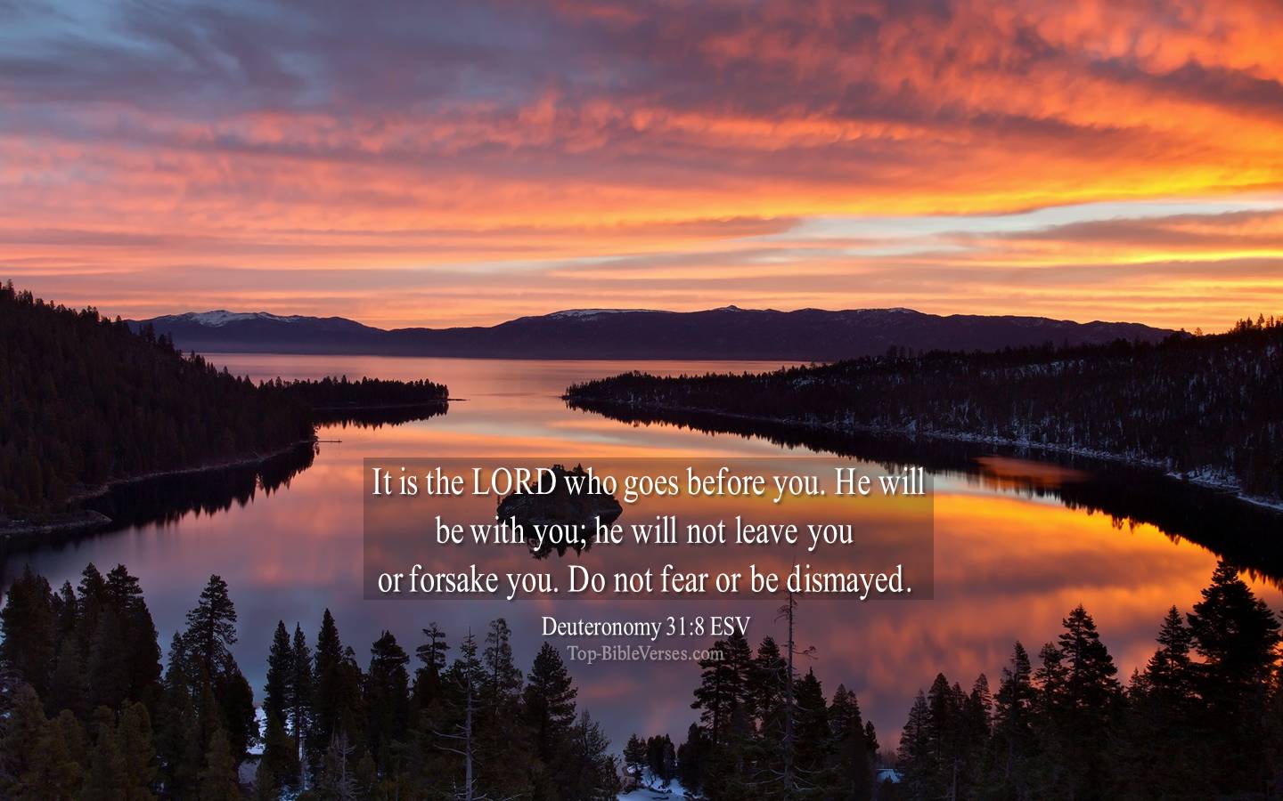 Deuteronomy 31-8 ESV Christian Bible Verse Desktop Wallpaper. Top-BibleVerses.com