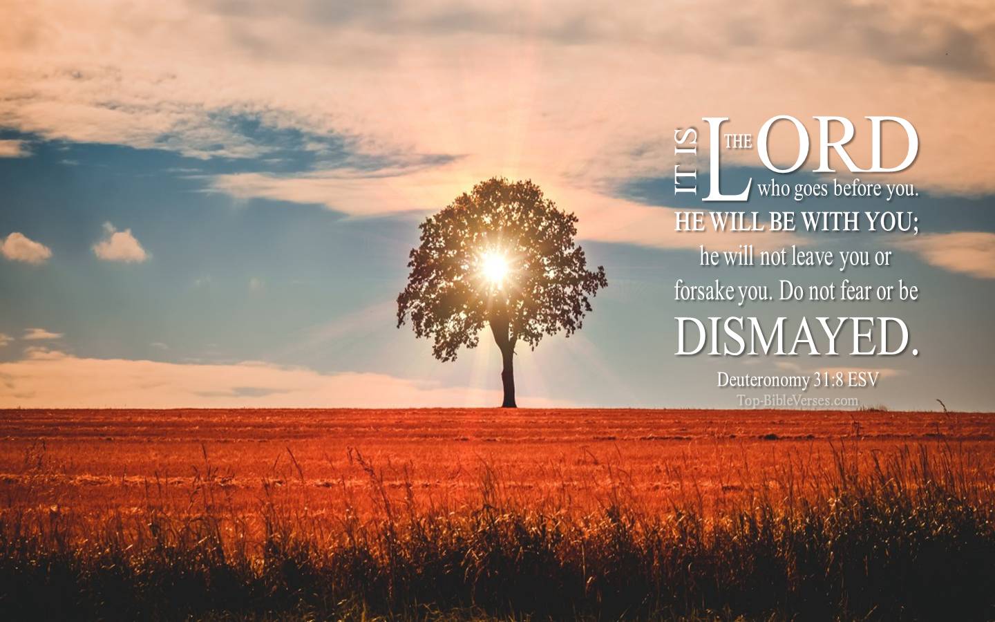 Deuteronomy 31-8 ESV Christian Bible Verse Desktop Wallpaper. Top-BibleVerses.com