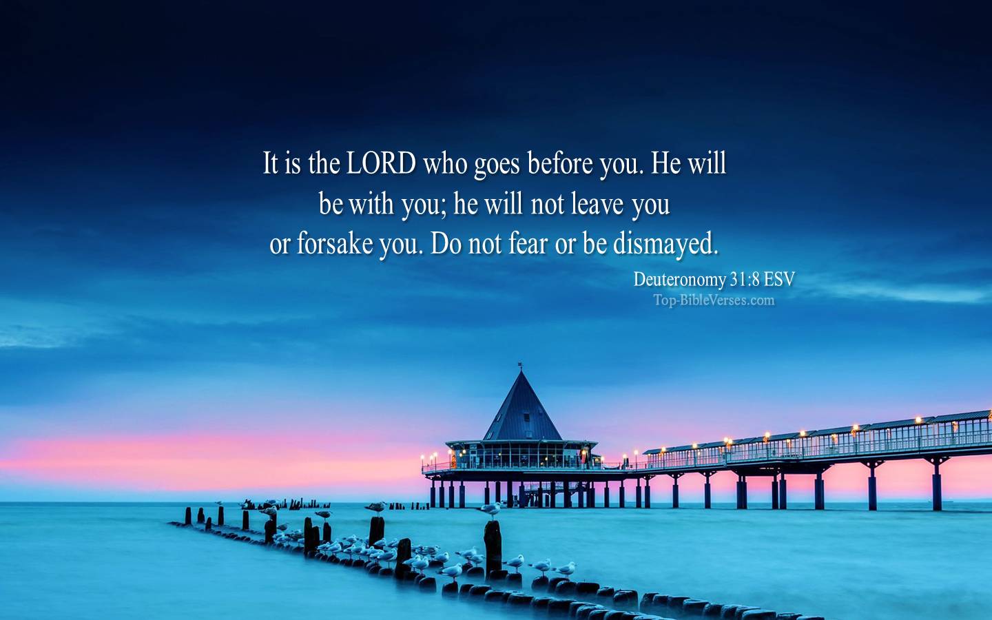 Deuteronomy 31-8 - It is the LORD who goes before you. ESV Christian Bible Verse Desktop Wallpaper.
