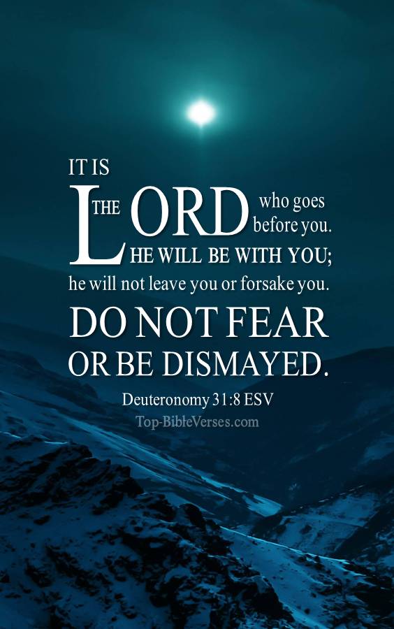 Deuteronomy 31-8 ESV Christian Bible Verse Mobile Wallpaper. Top-BibleVerses.com