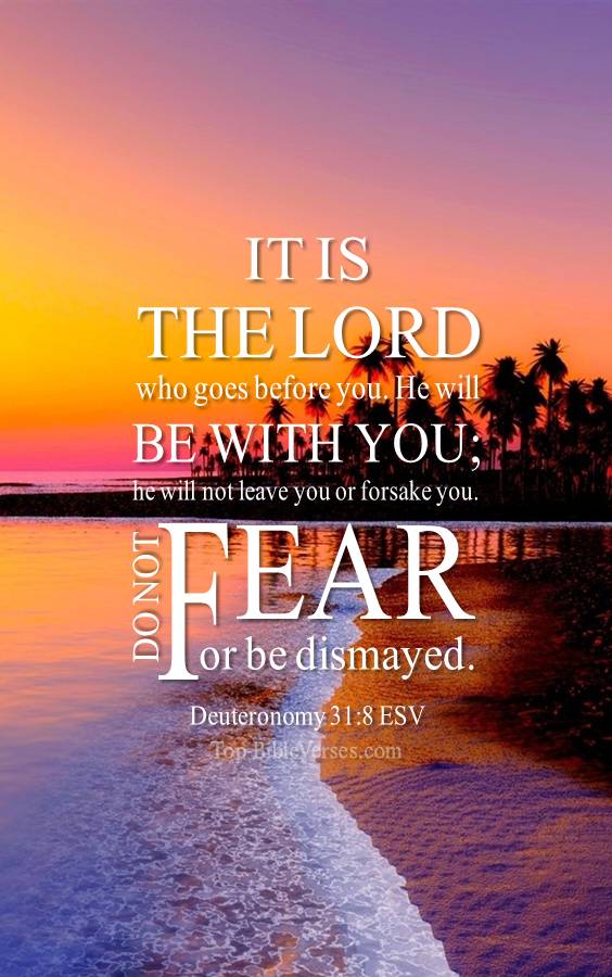 Deuteronomy-31-8 - It is the LORD who goes before you. ESV Christian Bible Verse Mobile Wallpaper.