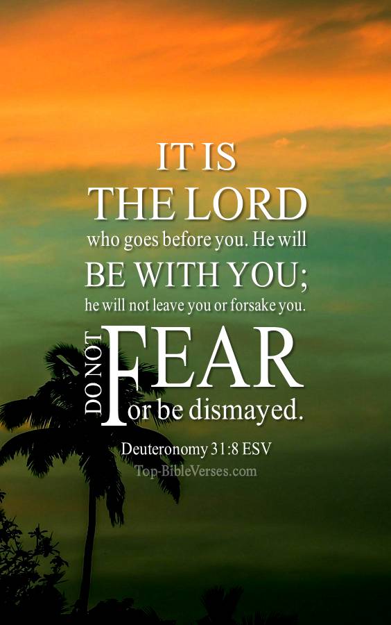 Deuteronomy 31-8 ESV Christian Bible Verse Mobile Wallpaper. Top-BibleVerses.com