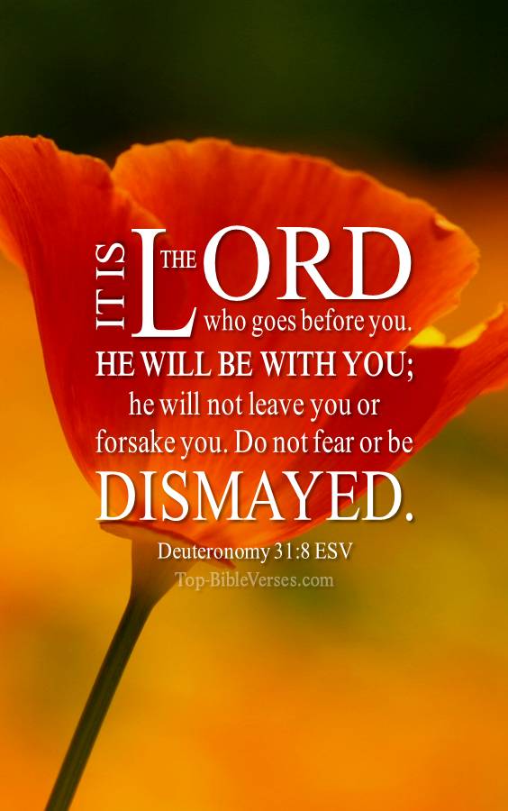 Deuteronomy 31-8 ESV Christian Bible Verse Mobile Wallpaper. Top-BibleVerses.com