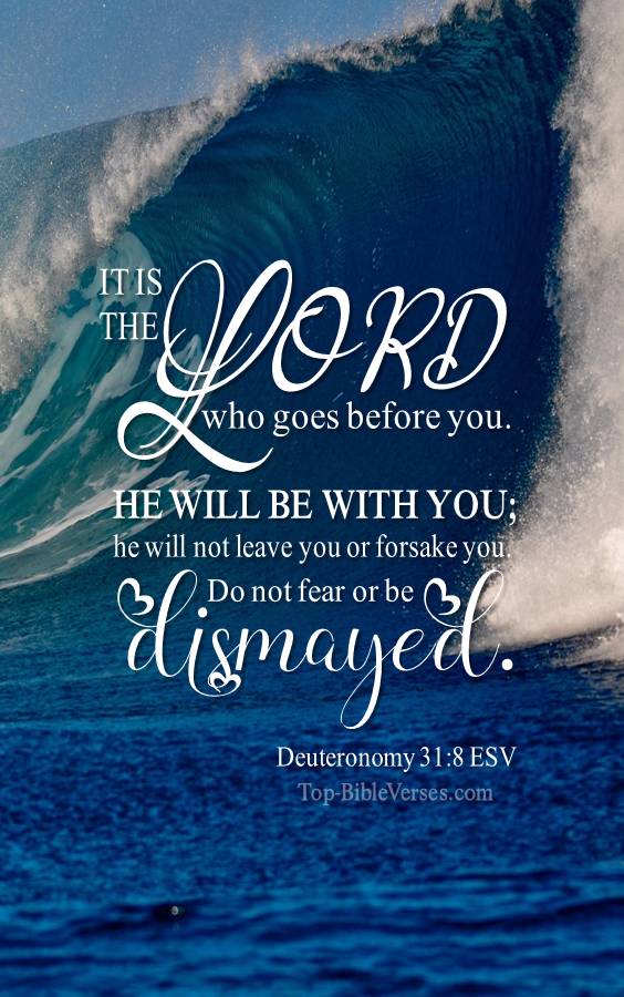 Deuteronomy-31-8 - It is the LORD who goes before you. ESV Christian Bible Verse Mobile Wallpaper.