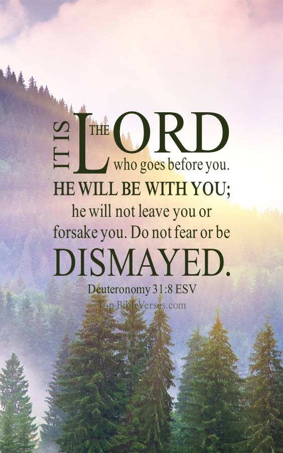 Deuteronomy-31-8 - It is the LORD who goes before you. ESV Christian Bible Verse Mobile Wallpaper.