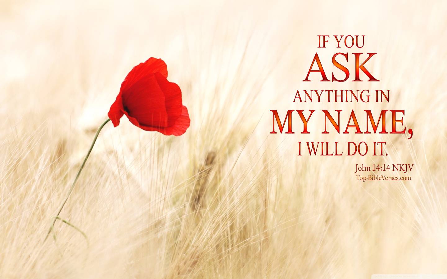 John 14-14 NKJV Christian Bible Verse Desktop Wallpaper. Top-BibleVerses.com