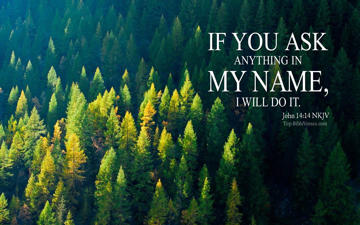 John 14-14 - If you ask anything in My name, I will do it. NKJV Christian Bible Verse Desktop Wallpaper.