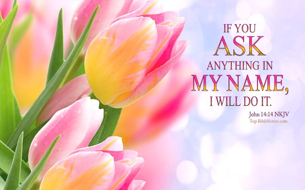 John 14-14 - If you ask anything in My name, I will do it. NKJV Christian Bible Verse Desktop Wallpaper.