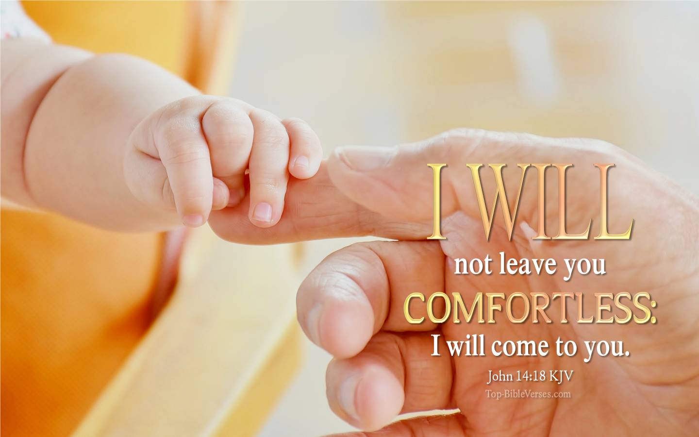 John 14:18 KJV Christian Bible Verse Desktop Wallpaper. Top-BibleVerses.com