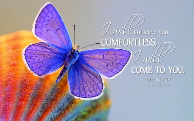 John 14:18 - I will not leave you comfortless: I will come to you. KJV Christian Bible Verse Desktop Wallpaper.