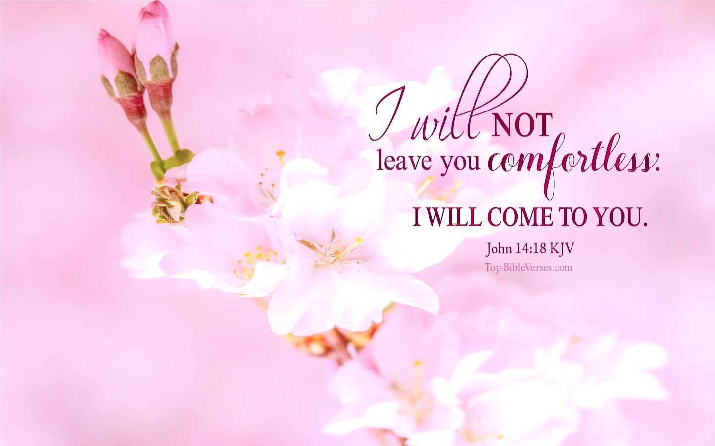 John 14:18 KJV Christian Bible Verse Desktop Wallpaper. Top-BibleVerses.com