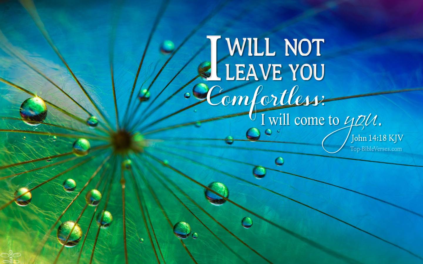 John 14-18 KJV Christian Bible Verse Desktop Wallpaper. Top-BibleVerses.com