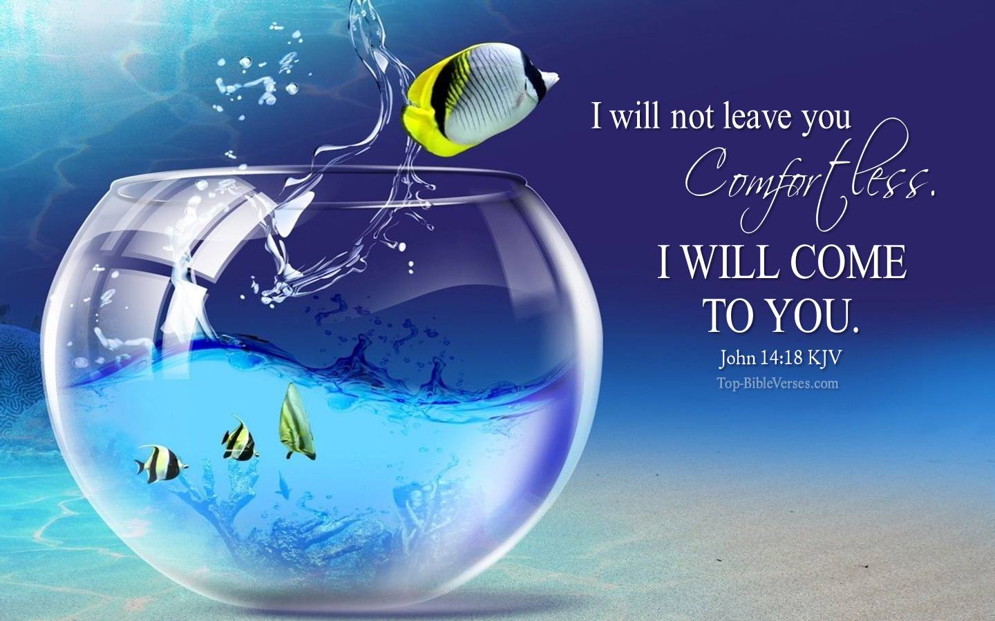 John 14-18 - I will not leave you comfortless: I will come to you. KJV Christian Bible Verse Desktop Wallpaper.