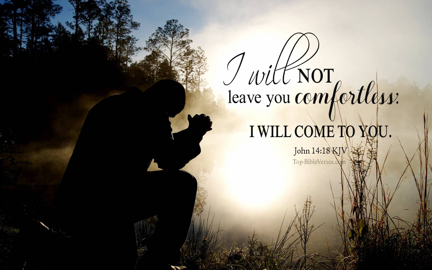 John 14:18 - I will not leave you comfortless: I will come to you. KJV Christian Bible Verse Desktop Wallpaper.