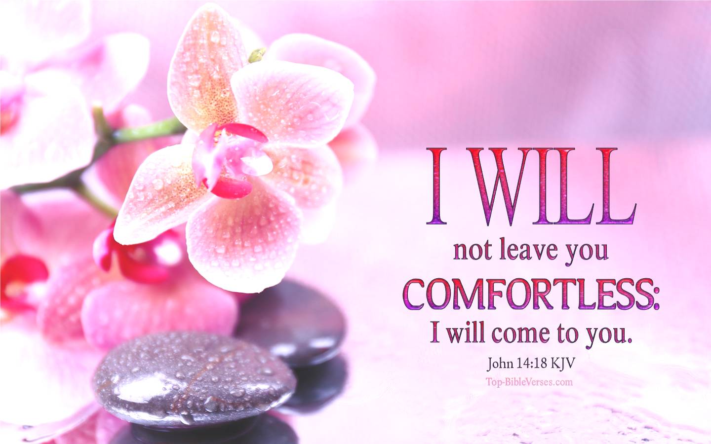 John 14-18 - I will not leave you comfortless: I will come to you. KJV Christian Bible Verse Desktop Wallpaper.