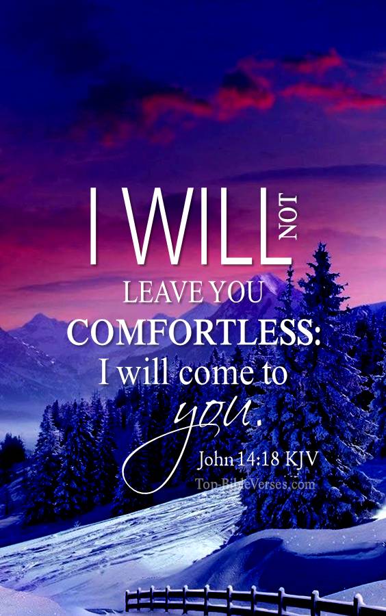 John 14-18 - I will not leave you comfortless: I will come to you. KJV Christian Bible Verse Mobile Wallpaper.