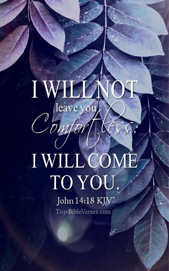 John 14-18 - I will not leave you comfortless: I will come to you. KJV Christian Bible Verse Mobile Wallpaper.