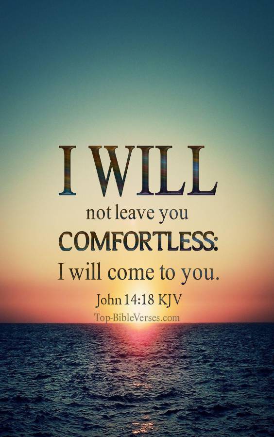 John 14-18 - I will not leave you comfortless: I will come to you. KJV Christian Bible Verse Mobile Wallpaper.