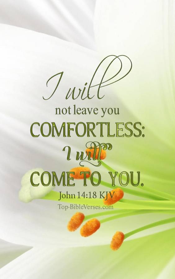 John 14-18 - I will not leave you comfortless: I will come to you. KJV Christian Bible Verse Mobile Wallpaper.
