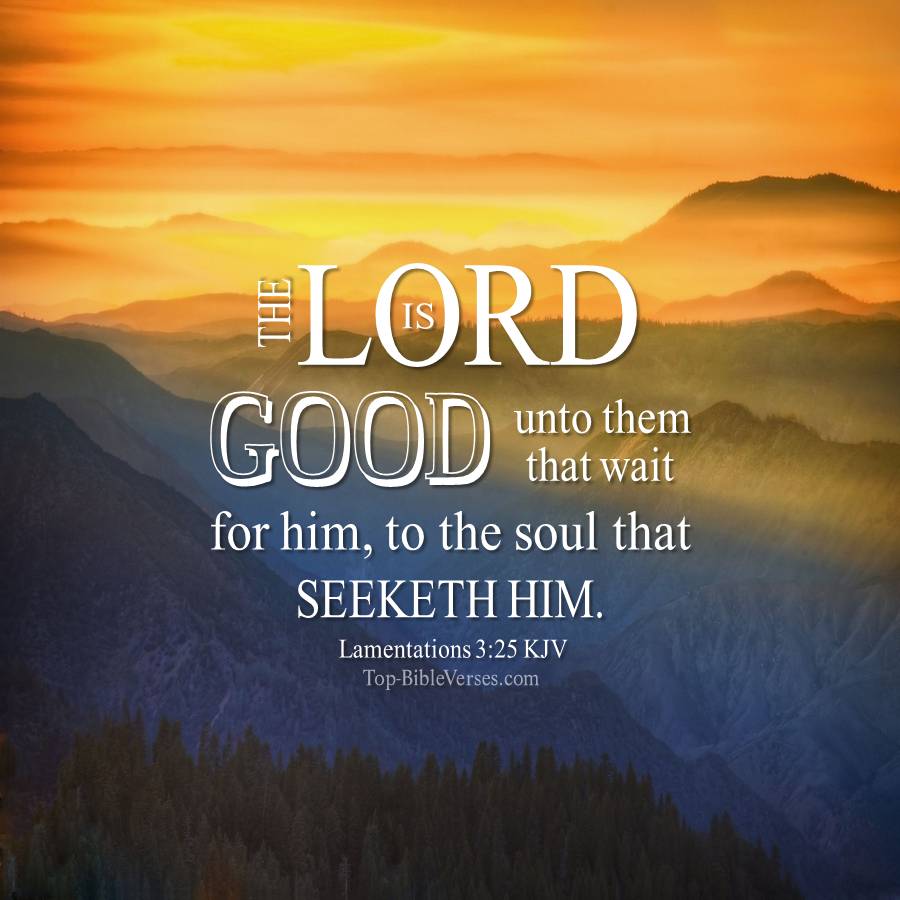 Lamentations 3:25 KJV WhatsApp DP Inspirational Bible Verse Images.