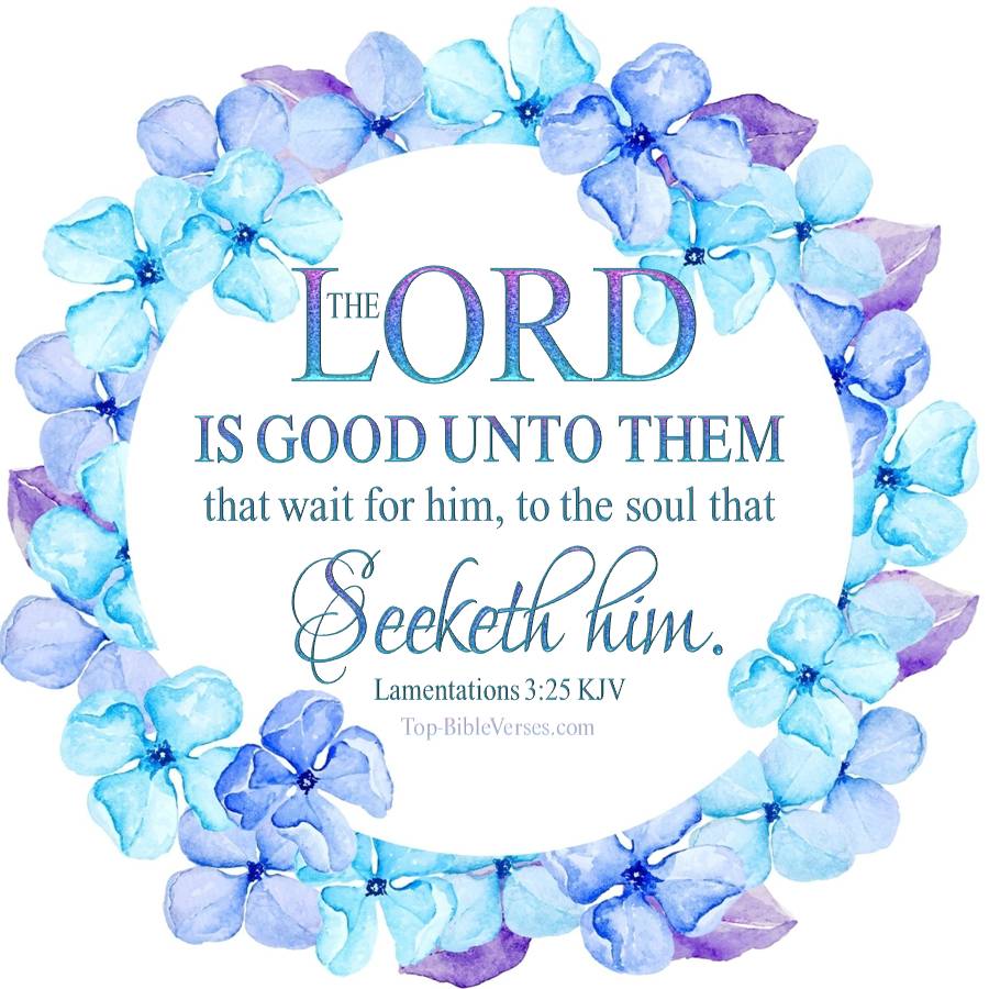 Lamentations 3:25 KJV WhatsApp DP Inspirational Bible Verse Images.