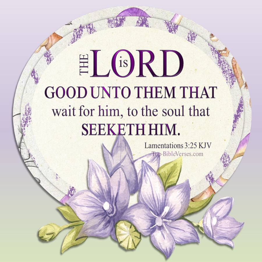 Lamentations 3:25 KJV WhatsApp DP Inspirational Bible Verse Images.