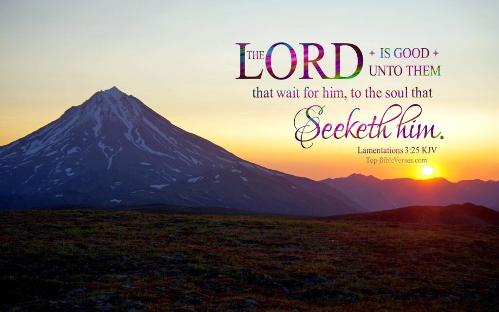 Lamentations 3:25 KJV Christian Bible Verse Desktop Wallpaper. Top-BibleVerses.com